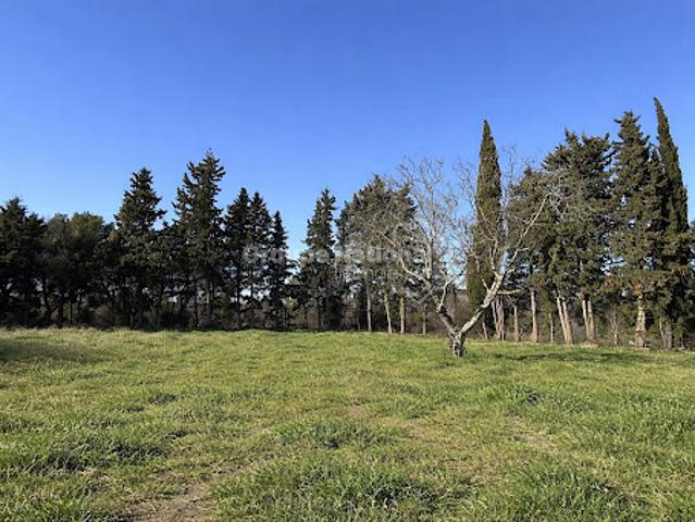 Vente Terrain 894 m2 Aubignan