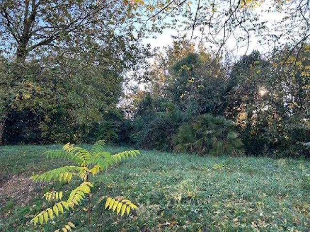 Vente Terrain 899 m2 Saint Sulpice et Cameyrac