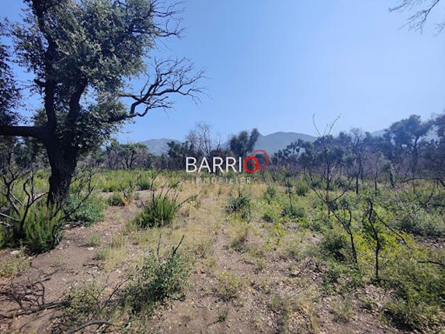 Vente Terrain 8000 m2 Saint andre
