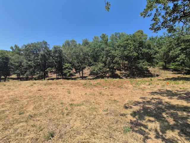 Vente Terrain 800 m2 Taradeau