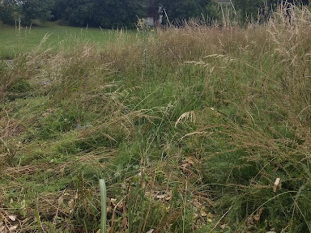 Vente Terrain 853 m2 Urrugne