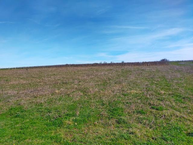 Vente Terrain 800 m2 Verrieres