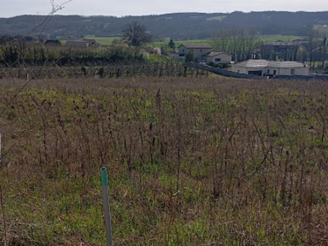 Vente Terrain 800 m2 Albon