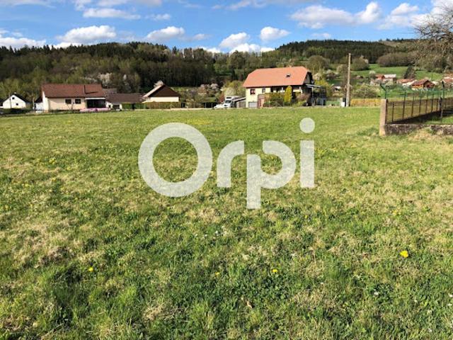 Vente Terrain 800 m2 Anould