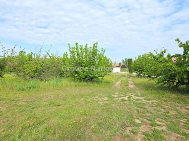 Vente Terrain 800 m2 Cavillargues
