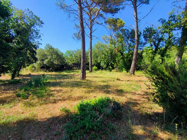 Vente Terrain 800 m2 Garéoult