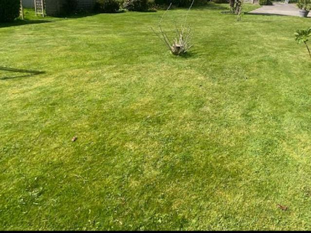 Vente Terrain 800 m2 Guipavas