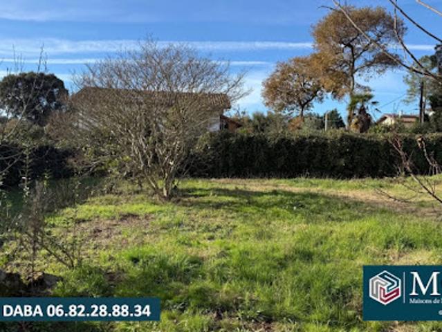 Vente Terrain 800 m2 Labenne