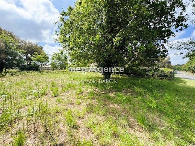 Vente Terrain 800 m2 Moliets et Maa