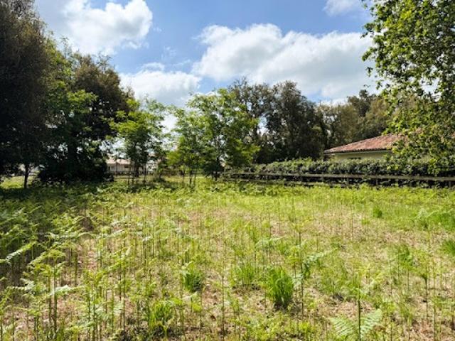 Vente Terrain 800 m2 Moliets et Maa