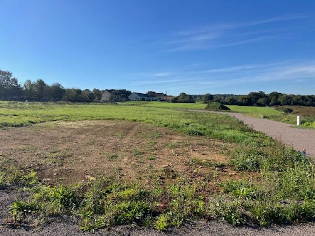 Vente Terrain 800 m2 Neurey lès la Demie