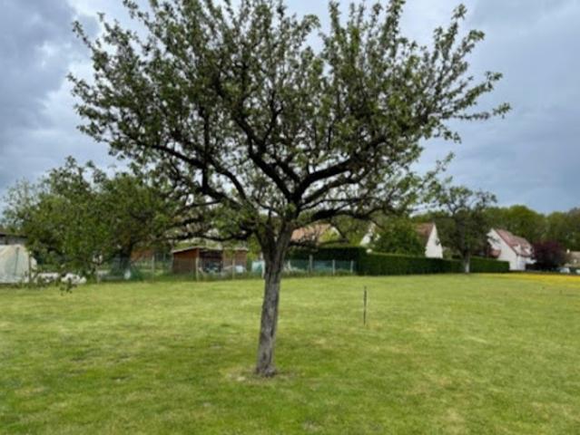 Vente Terrain 800 m2 Ormoy la Rivière