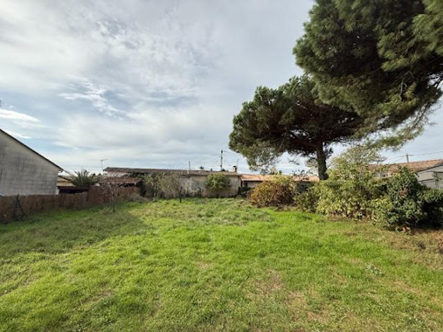 Vente Terrain 800 m2 Podensac