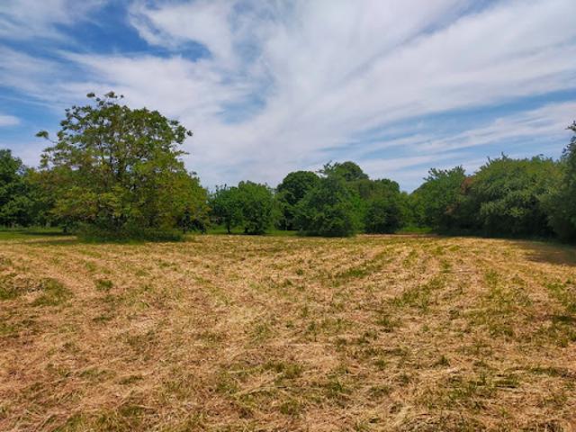 Vente Terrain 800 m2 Sireuil