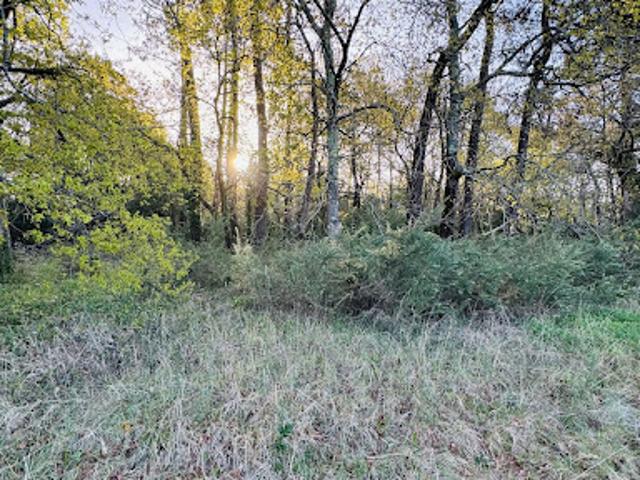 Vente Terrain 800 m2 Soulac sur Mer