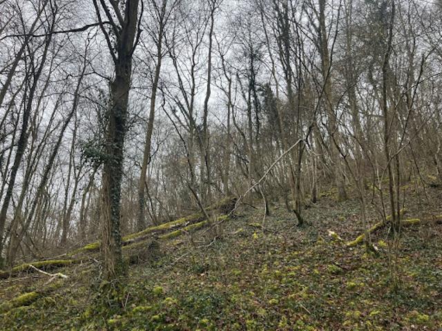 Vente Terrain 8017 m2 Vailly sur Aisne