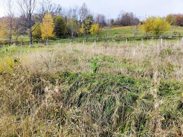 Vente Terrain 802 m2 Les Déserts