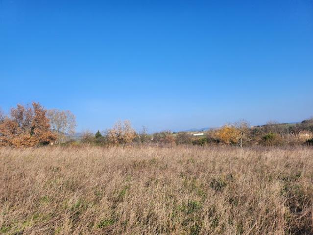 Vente Terrain 809 m2 Verin