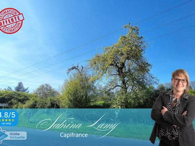 Vente Terrain 8107 m2 Suizy le Franc