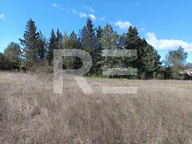 Vente Terrain 811 m2 Aubais
