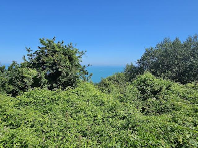 Vente Terrain 812 m2 Commes