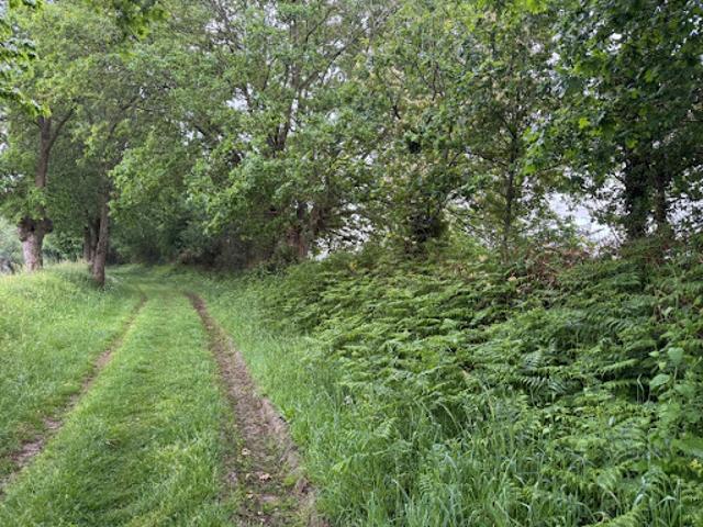 Vente Terrain 812 m2 Cossé le Vivien