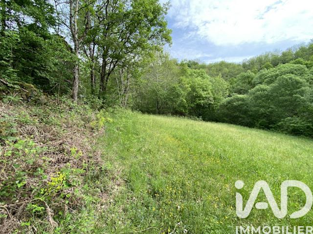 Vente Terrain 8141 m2 Ayssènes