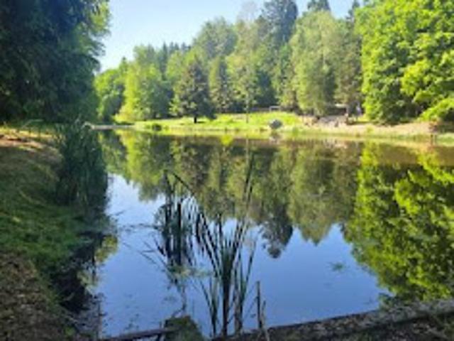 Vente Terrain 8160 m2 Reyersviller