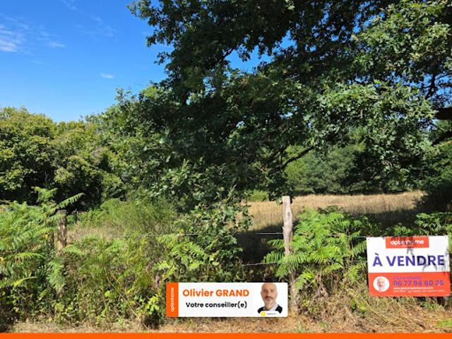 Vente Terrain 8166 m2 Peyrilhac