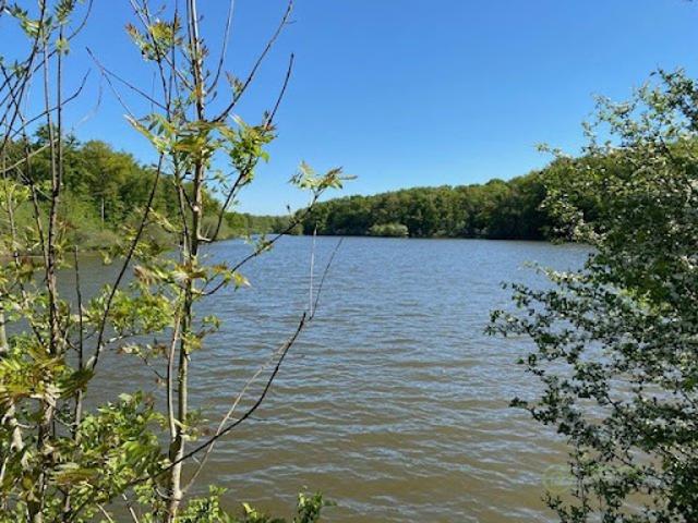 Vente Terrain 81751 m2 Saint Hilaire les Andrésis