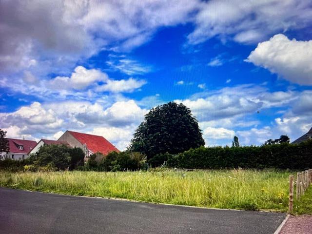 Vente Terrain constructible 818 m2 Saint Jean Kourtzerode