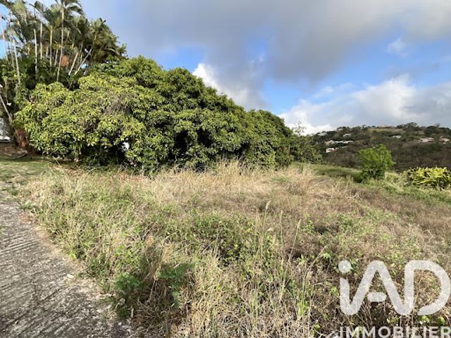 Vente Terrain 819 m2 Le carbet
