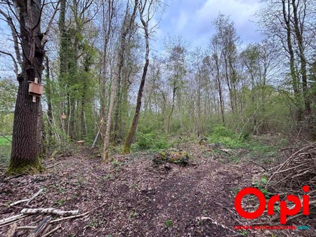 Vente Terrain 8247 m2 Vaucelles et Beffecourt