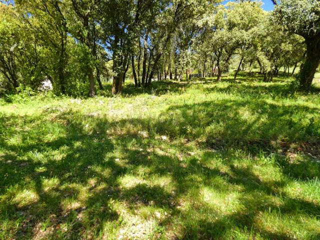 Vente Terrain 8264 m2 Uzès