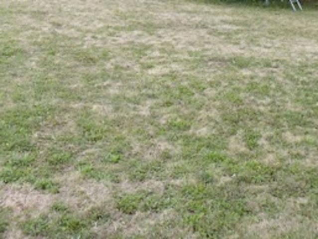 Vente Terrain 828 m2 Legé