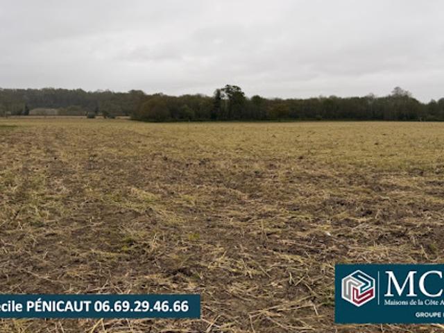 Vente Terrain 837 m2 Mimbaste