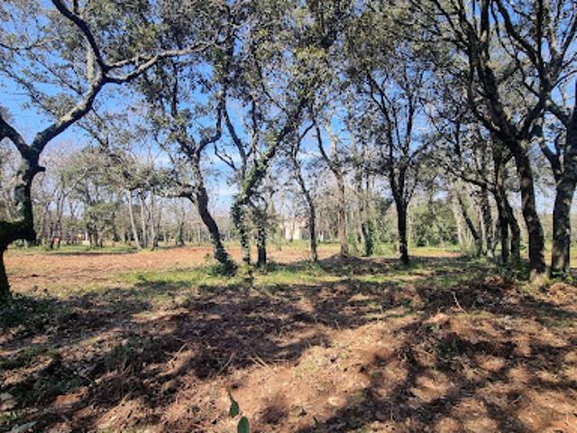 Vente Terrain 940 m2 Uzès
