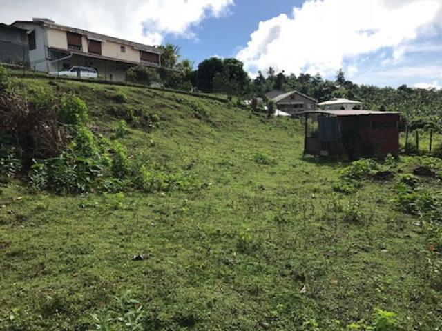 Vente Terrain 940 m2 La trinite
