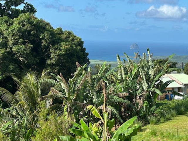 Vente Terrain 942 m2 Sainte luce