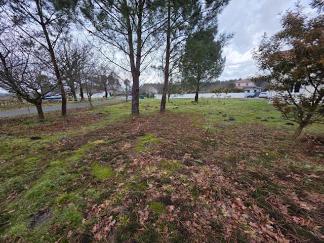 Vente Terrain 947 m2 Biscarrosse