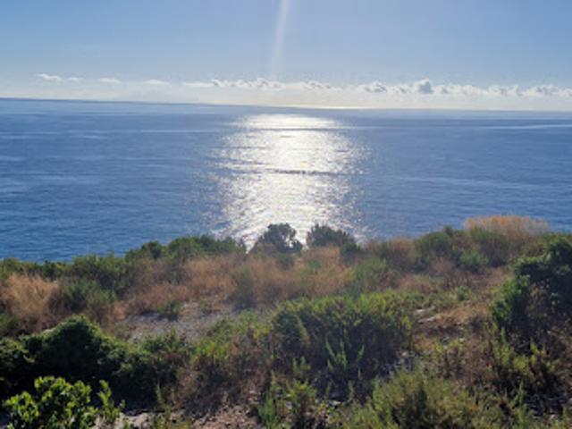 Vente Terrain 949 m2 Sisco