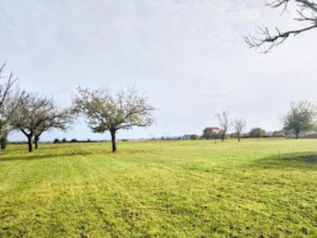 Vente Terrain 953 m2 Buxerolles