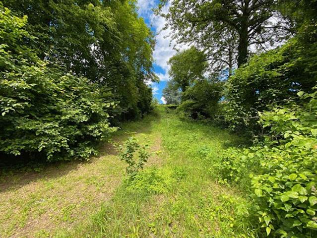 Vente Terrain 953 m2 Cergy