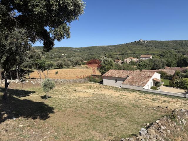 Vente Terrain 950 m2 Aumelas