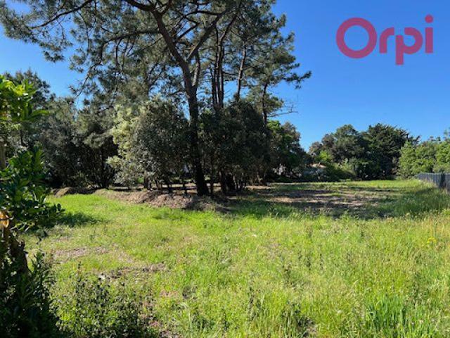 Vente Terrain 950 m2 Chateau d'olonne