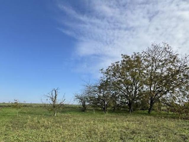 Vente Terrain 950 m2 La Roche Posay