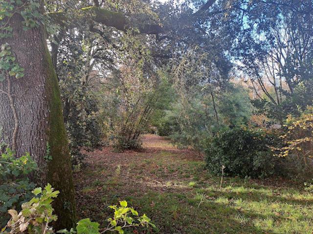 Vente Terrain 950 m2 Meschers sur Gironde