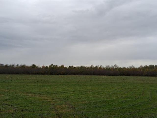Vente Terrain 950 m2 Saint Laurent des Vignes