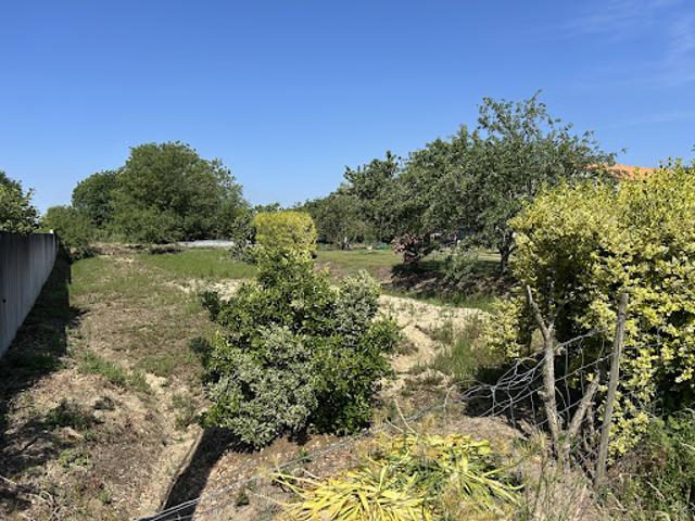 Vente Terrain 951 m2 Le Loroux Bottereau
