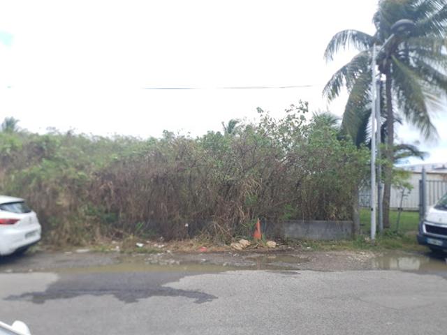 Vente Terrain 954 m2 Pointe a pitre